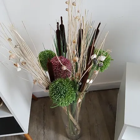 Les Fruits De Mer, Terrasse Sud, Parking Gratuit, Calme Et A Pied Apartment Berck