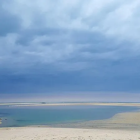 Les Fruits De Mer, Parking Gratuit, Lits Faits, Animal Bienvenu Et A Pied *