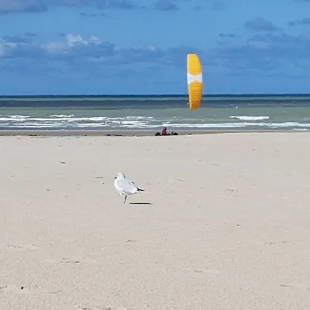 Les Fruits De Mer, Terrasse Sud, Parking Gratuit, Calme Et A Pied * Berck