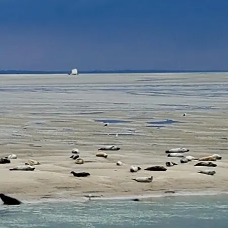 Les Fruits De Mer, Parking Gratuit, Lits Faits, Animal Bienvenu Et A Pied アパート