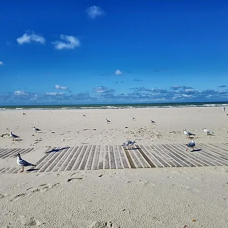 Les Fruits De Mer, Parking Gratuit, Lits Faits, Animal Bienvenu Et A Pied