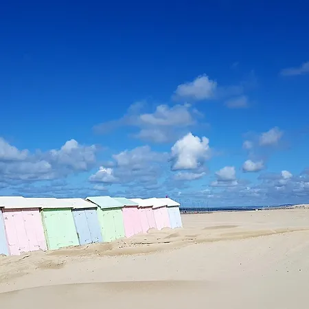 Les Fruits De Mer, Terrasse Sud, Parking Gratuit, Calme Et A Pied Berck