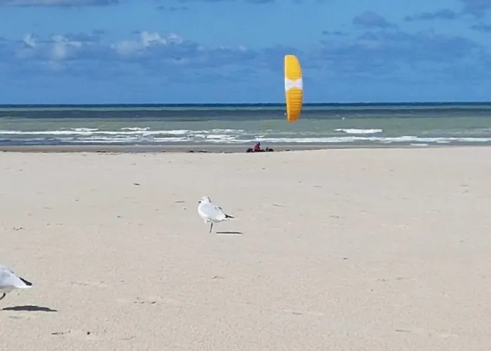 Les Fruits De Mer, Plage Et Centre A Pied, Lits Faits, Parking Gratuit, Animal Bienvenu * Berck