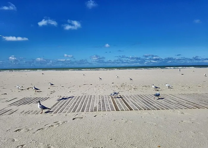 Les Fruits De Mer, Plage Et Centre A Pied, Lits Faits, Parking Gratuit, Animal Bienvenu