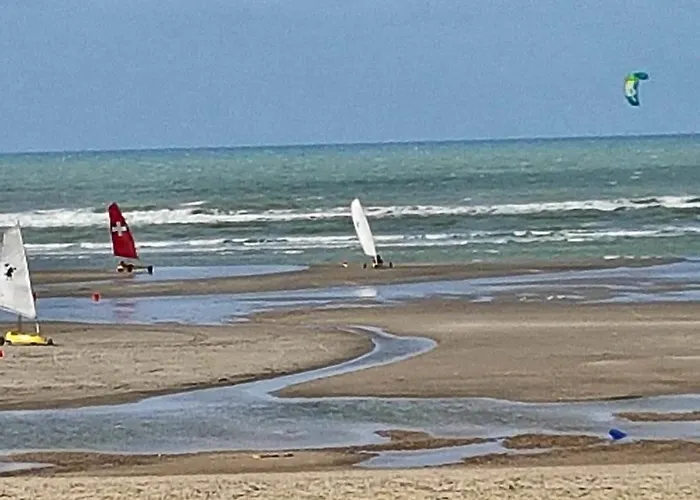 Les Fruits De Mer, Plage Et Centre A Pied, Lits Faits, Parking Gratuit, Animal Bienvenu *
